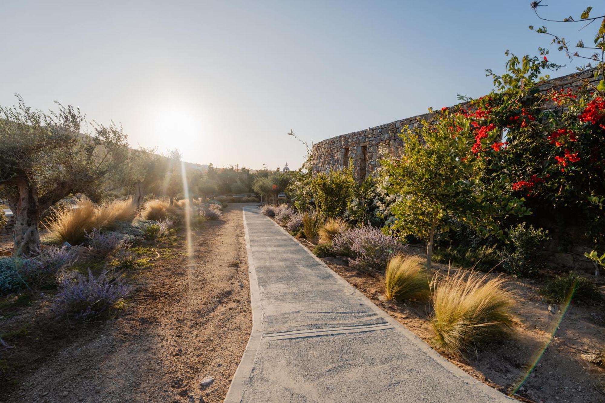 Oliving Mykonos Luxury Suites Klouvas Eksteriør billede