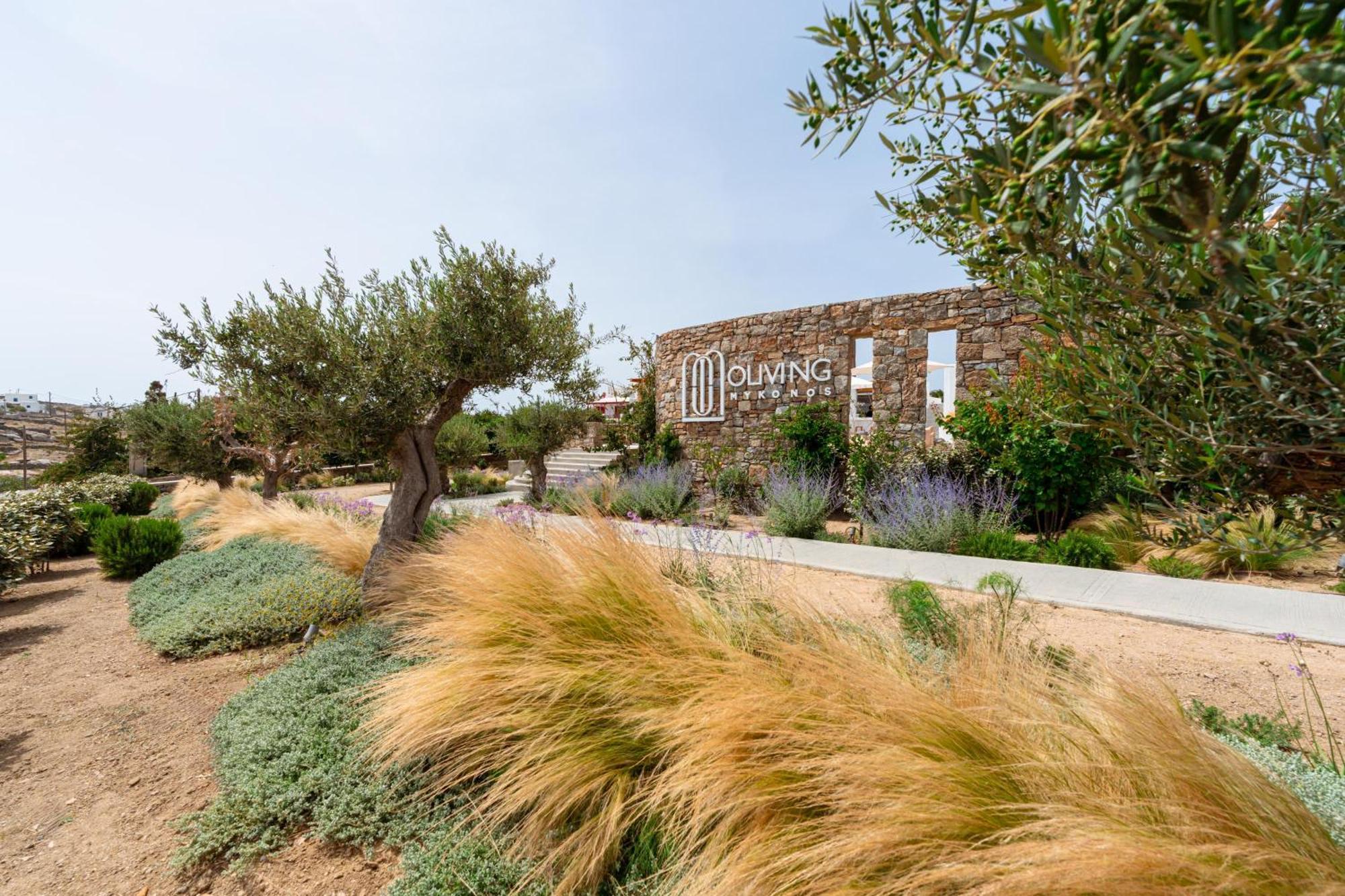 Oliving Mykonos Luxury Suites Klouvas Eksteriør billede
